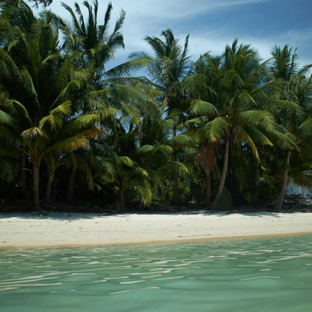 Beautiful Thai Beach where palm trees meet the white sand and emerald water