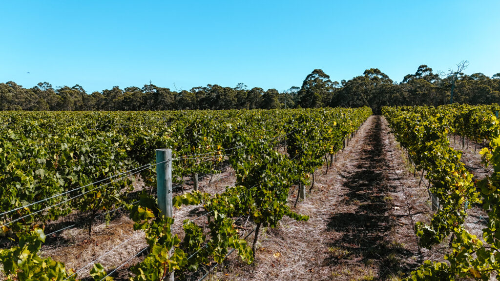 Xanadu winery