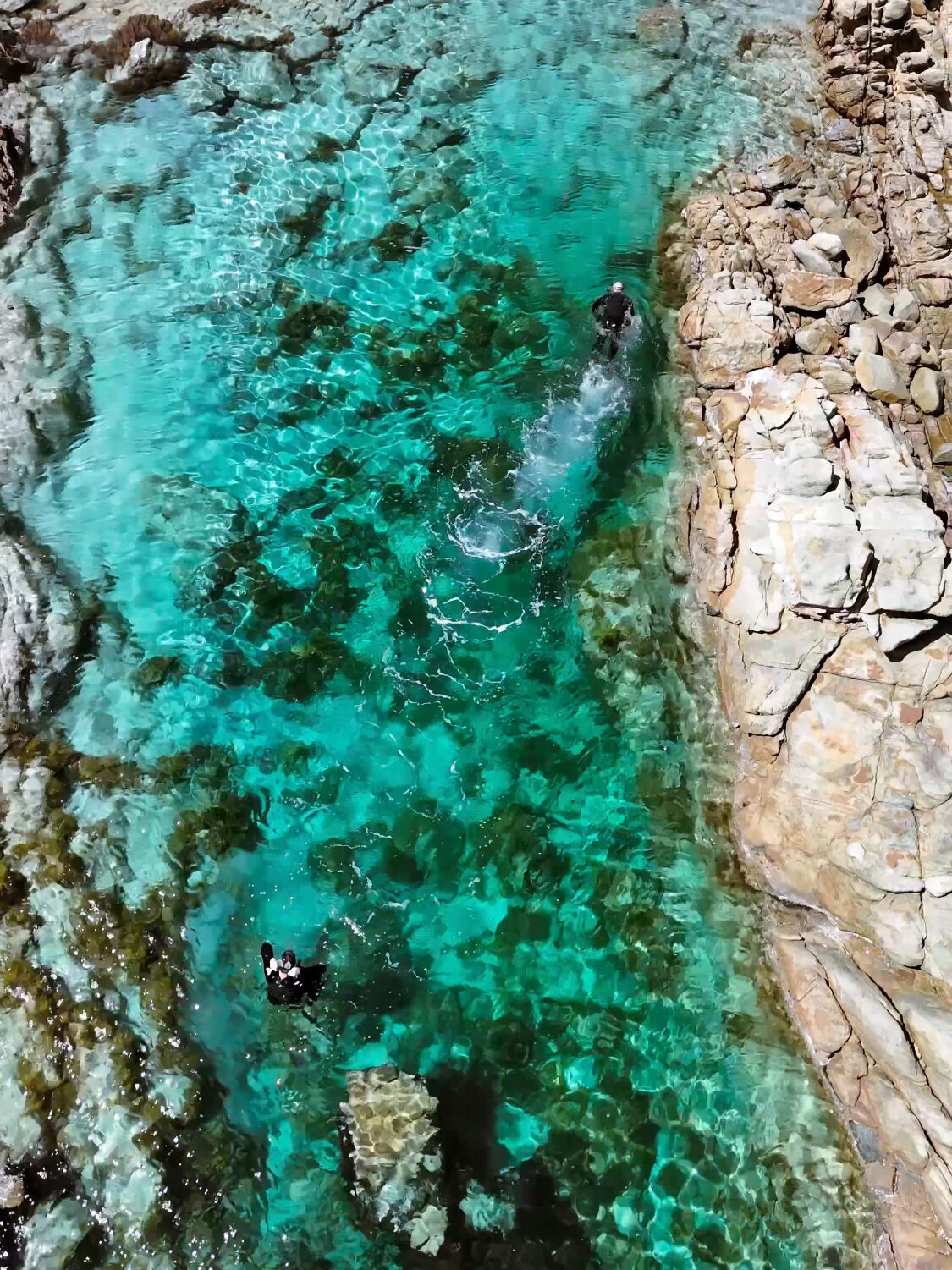 snorkelling at the aquarium in Yallingup