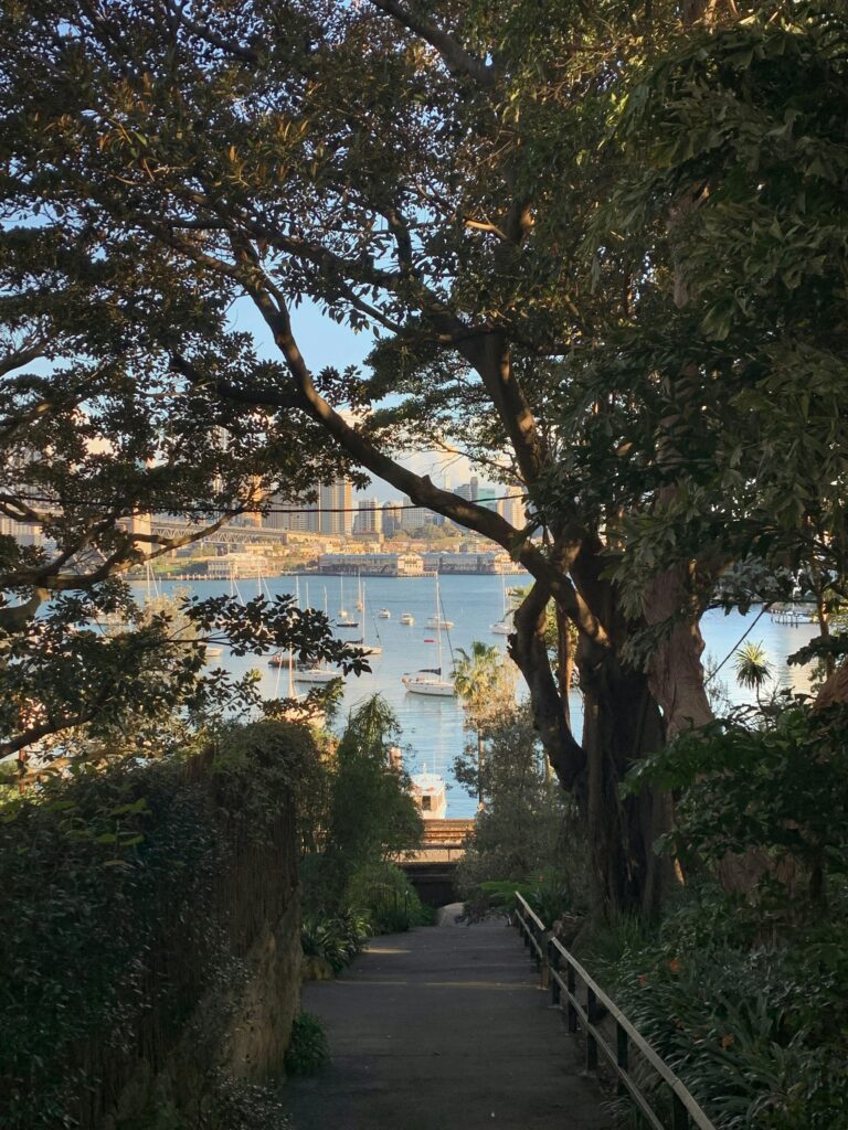 Wendy's Secret Garden in Lavender Bay