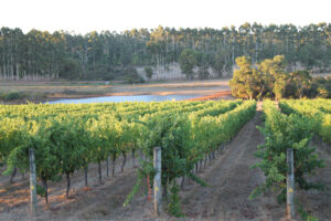 Margaret River winery