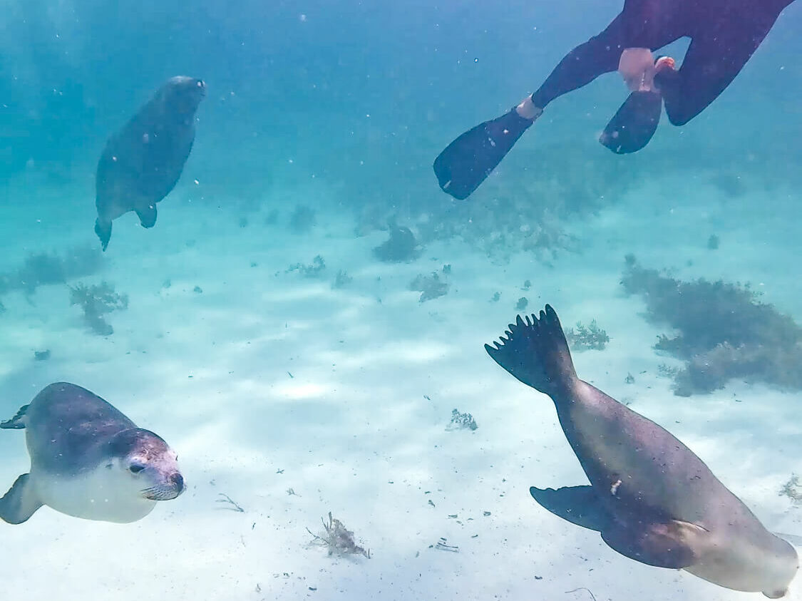 10 Best Things To Do in Western Australia if You Love Adventure