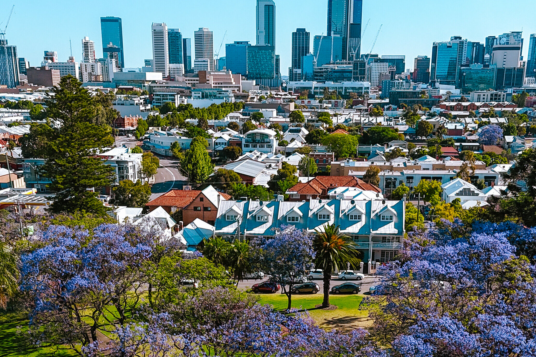 Perth City Skyline and jacaranda trees in Hyde Park