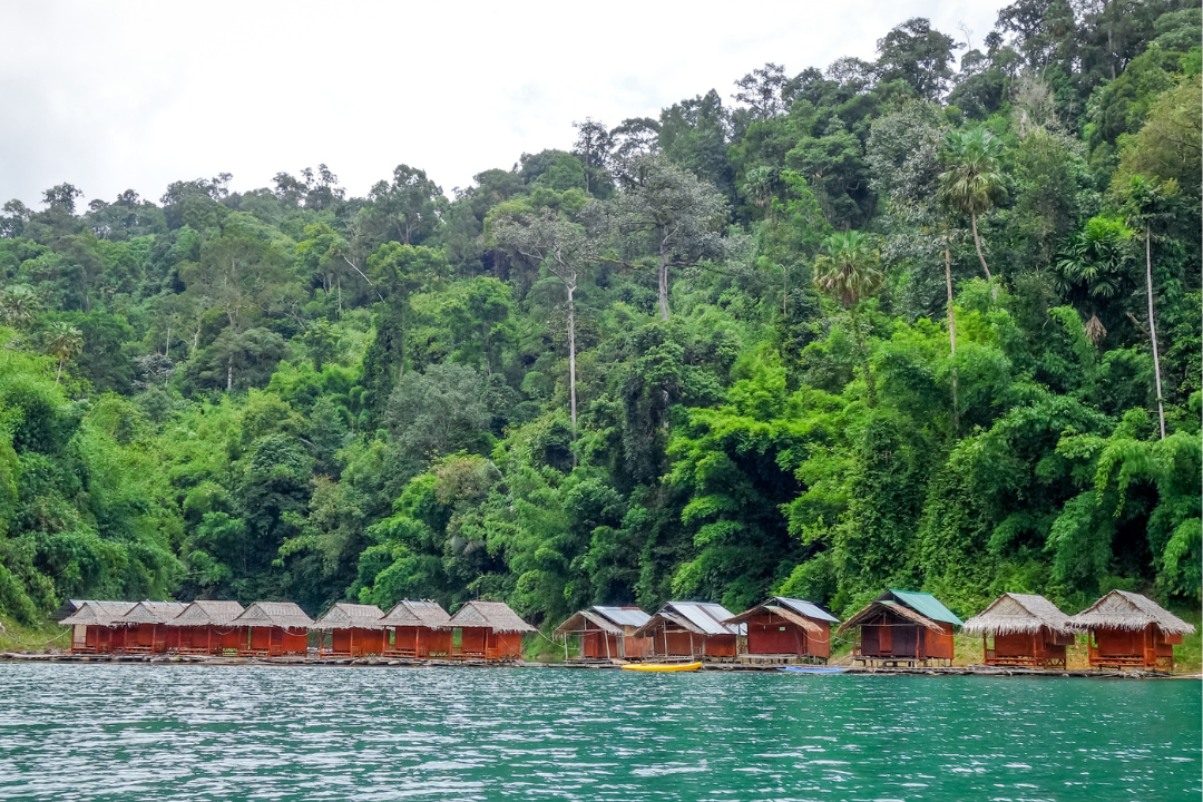 Floating Bungalows in Khao Sok Lake with jungle backdrop