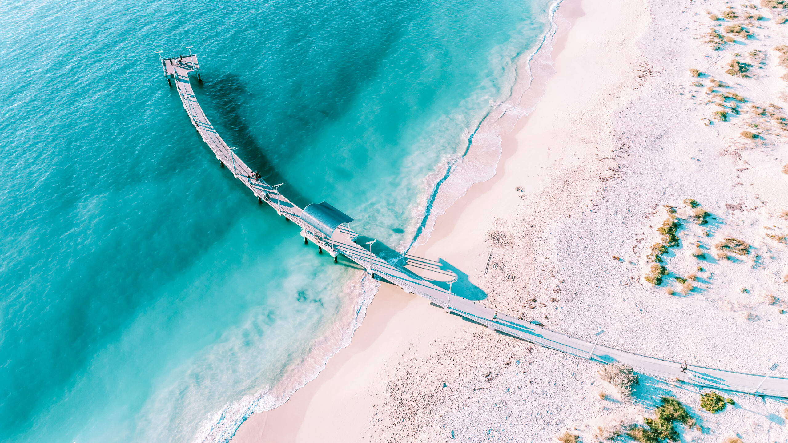 Swimming with Sea Lions in Jurien Bay
