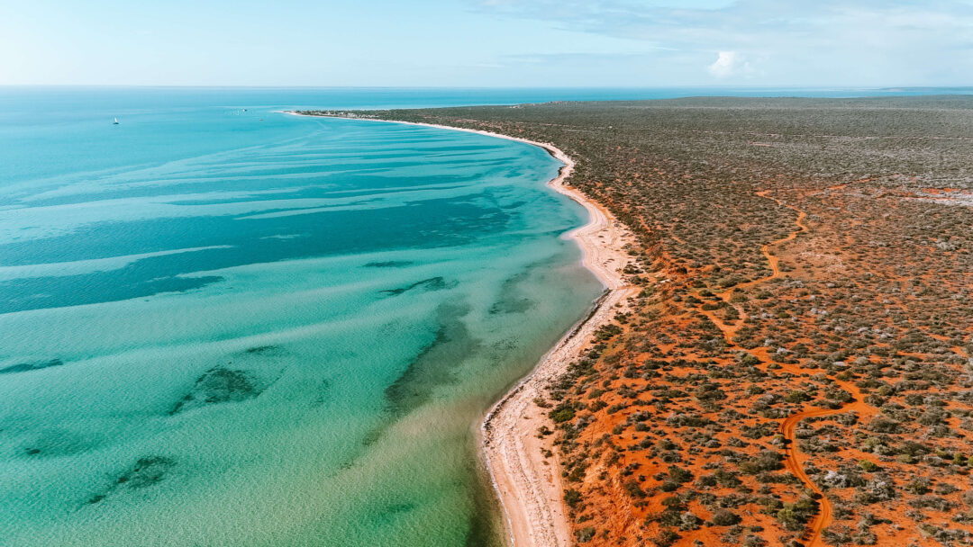 15 Epic Things To Do In Shark Bay