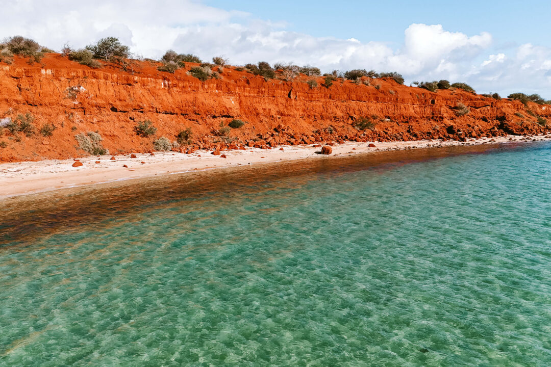 15 Epic Things To Do In Shark Bay