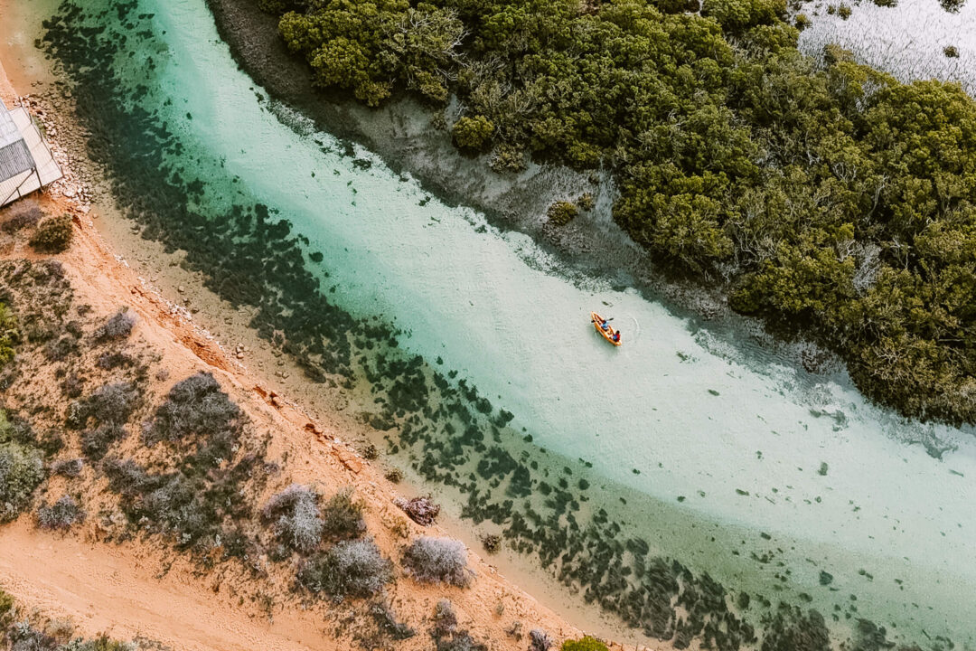 15 Epic Things To Do In Shark Bay