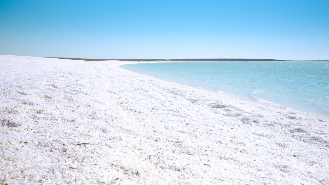 15 Epic Things To Do In Shark Bay