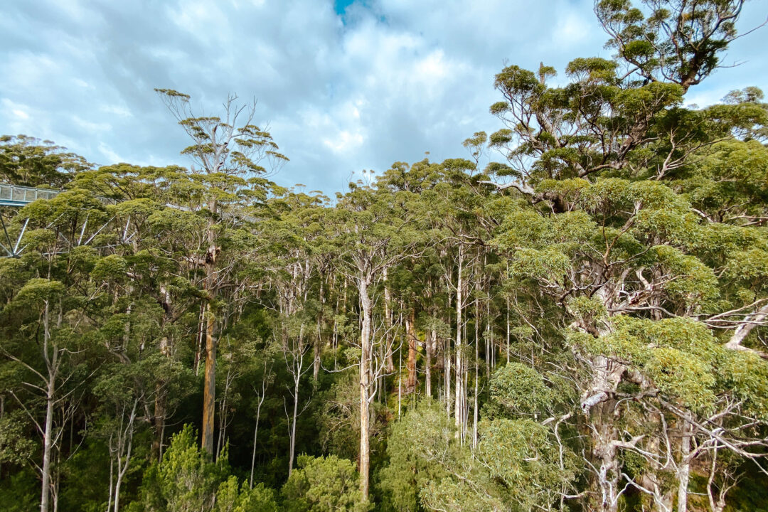 Places to stay in Albany and Denmark WA
