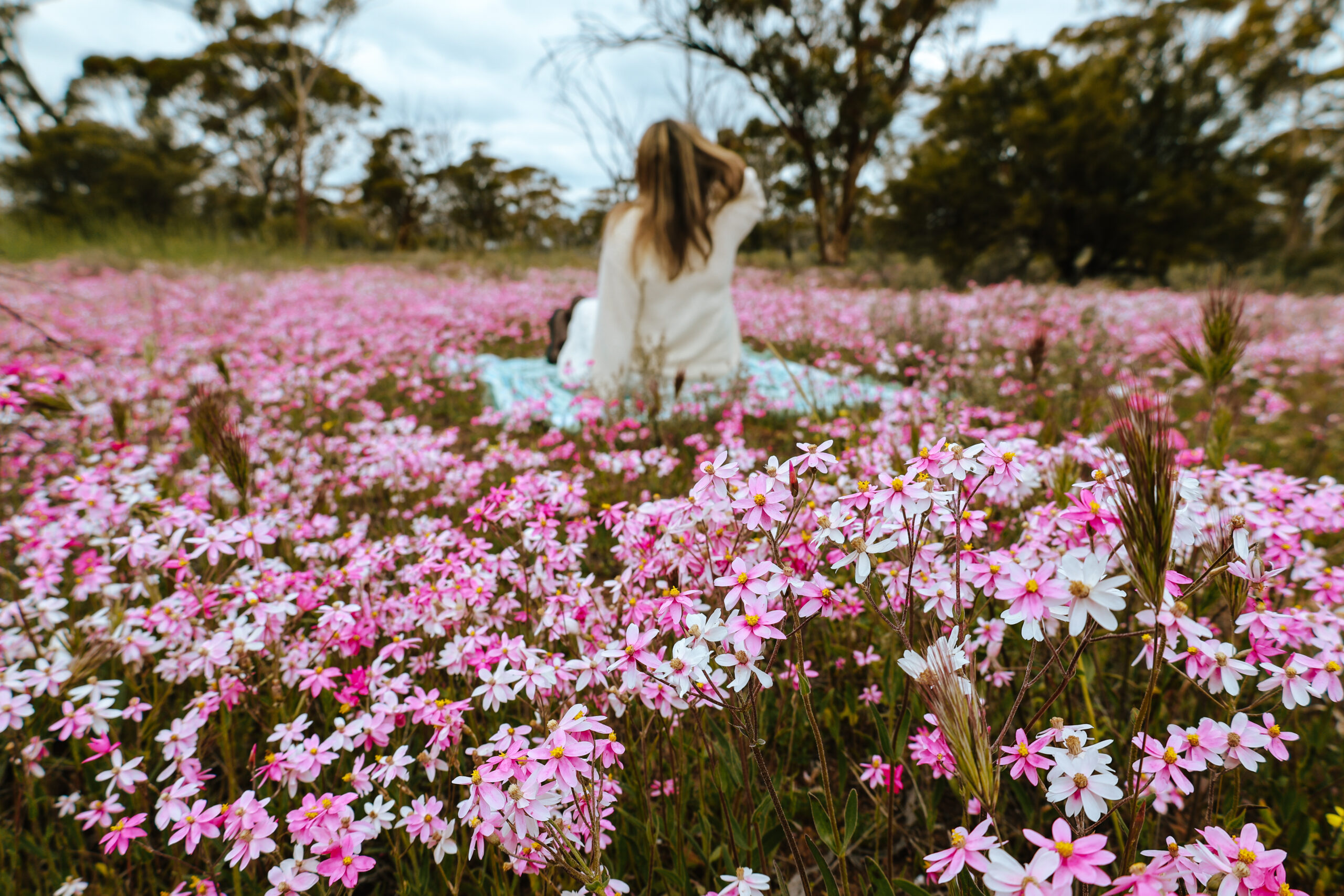 Ultimate Wheatbelt Way Road Trip Itinerary
